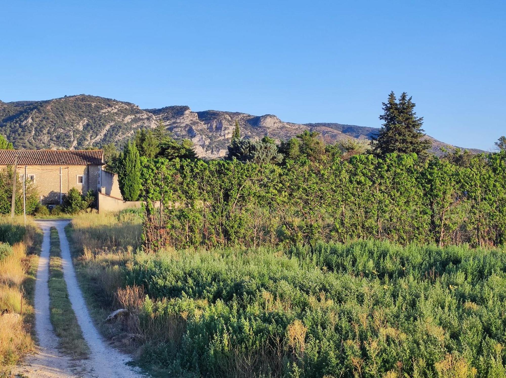 Chambre 3 Personnes Avec Salle De Bain Dans Mas Du Luberon Robion en Luberon Eksteriør billede