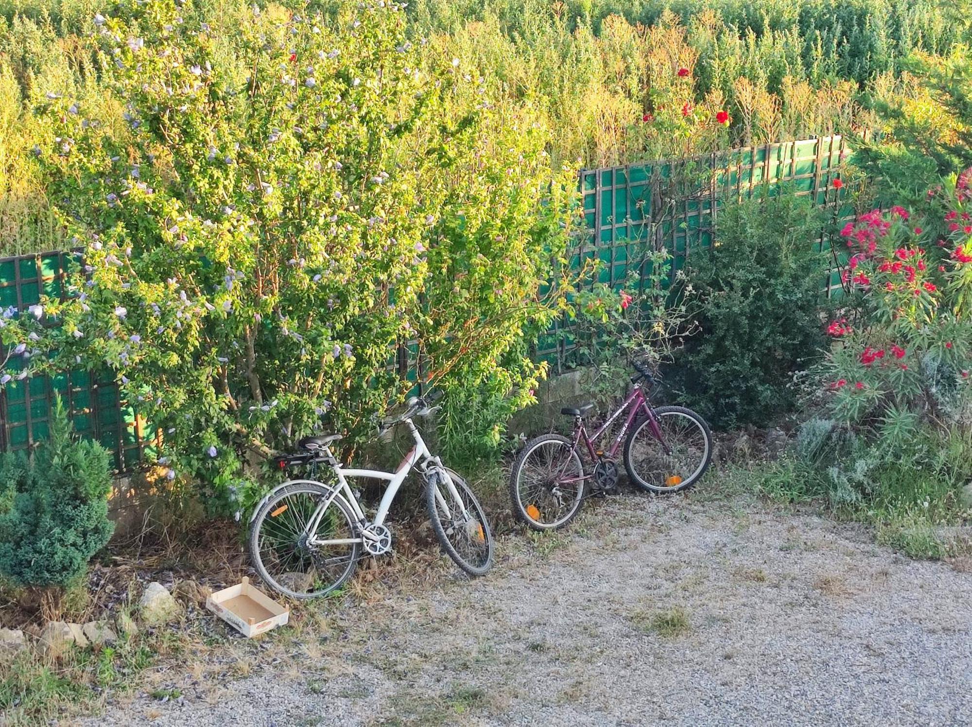 Chambre 3 Personnes Avec Salle De Bain Dans Mas Du Luberon Robion en Luberon Eksteriør billede